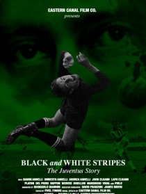 黑白条纹之间：尤文图斯足球队的故事
