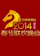 2014年中央电视台春节联欢晚会