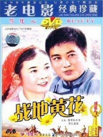 战地黄花