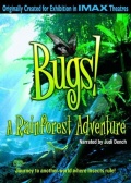 Bugs!
