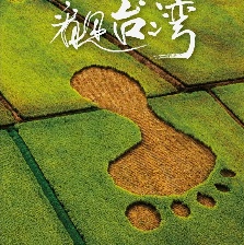 看见台湾