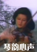 琴韵心声