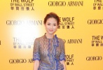 《华尔街之狼》香港首映 张梓琳吴秀波到场助阵