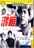 鴻雁