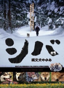 繩文柴犬的夢(mèng)