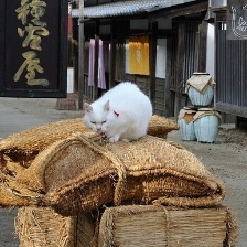 貓侍劇場(chǎng)版