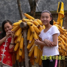 童年的最后一個夏天