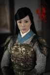 楊門(mén)女將之軍令如山