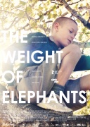 大象的重量