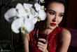莫小棋性感红裙写真 举杯浅酌尽显迷人女神范儿
