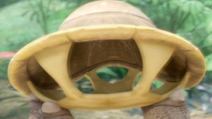 《里约大冒险2》病毒视频 情侣龟跳舞龟从壳脱落