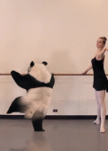 喷嚏熊猫