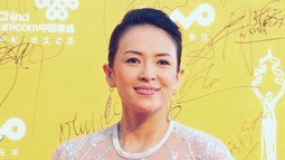 影后章子怡红毯迟到 甩黄晓明吴宇森独自亮相吸睛