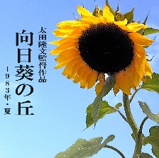 向日葵之丘?1983年夏