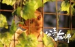 《分手大師》曝超喜劇特輯 鄧超勾引楊冪頻變裝