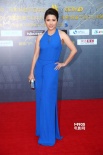 演员颜丙燕亮相红毯挥手致意 着蓝色长裙显清凉