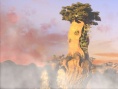 《贊鳥歷險(xiǎn)記3D》獲贊 “憤怒小鳥”歡樂鬧五一