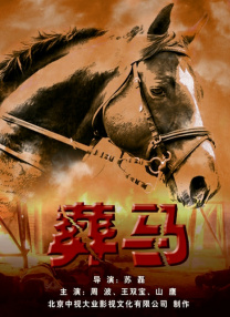 彈無(wú)虛發(fā)之葬馬
