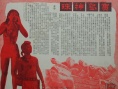 宝岛神珠