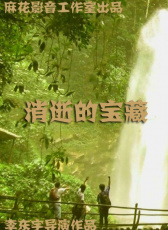 消逝的寶藏