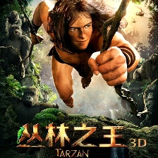 叢林之王
