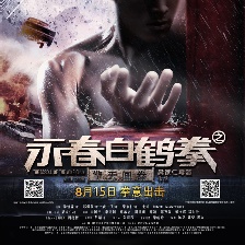 永春白鶴拳之擎天畫卷