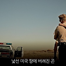 哭泣的男人