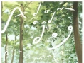 亞當(dāng)與狗