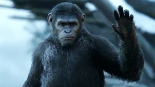 《猩球崛起2》中文故事特辑 凯撒团结猩猩变领袖