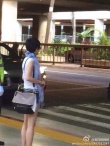 文章馬伊琍夏威夷度假秀甜蜜 出軌陰影蕩然無存