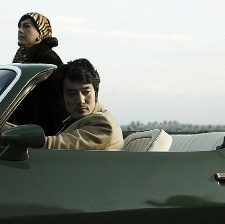 山茶花
