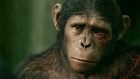 《猩球崛起2》中文特辑 人猿间矛盾加剧无奈开战