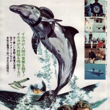 海豚之日