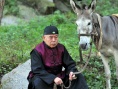 毛驢縣令之棒子老虎雞