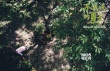 《不能說的夏天》首發(fā)海報 靜謐校園內暗藏殺機