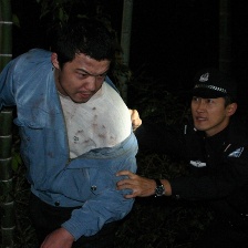 無悔人生