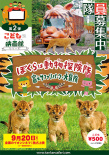 我們是動物探險隊 富士野生動物園大冒險