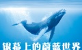 30期：《爱上电影网》关注院线 光影世界万变海洋