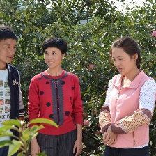 金秋喜臨門(mén)