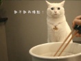 日食記
