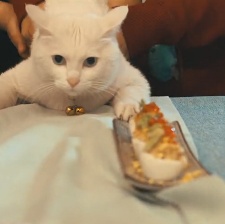 日食記