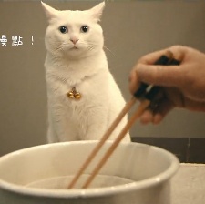 日食記
