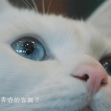 日食記