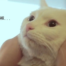 日食記