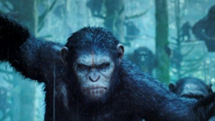 《猩球崛起2》凯撒特辑 传奇猿族领袖霸气归来