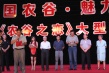 農(nóng)谷之戀