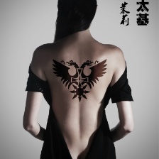 迦太基茉莉