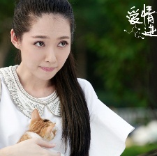 愛情進(jìn)化論