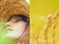 小森林 夏秋篇