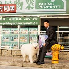 臨時同居